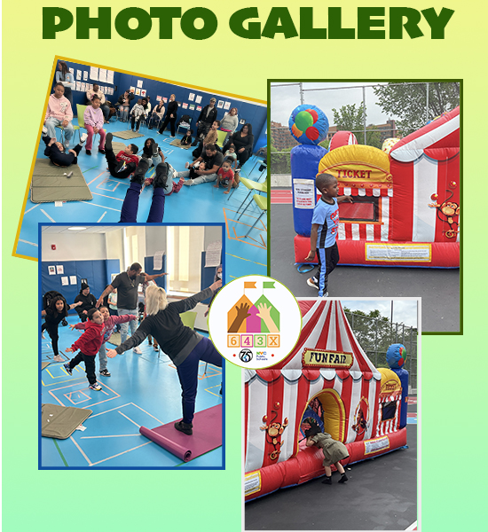 P. GALLERY